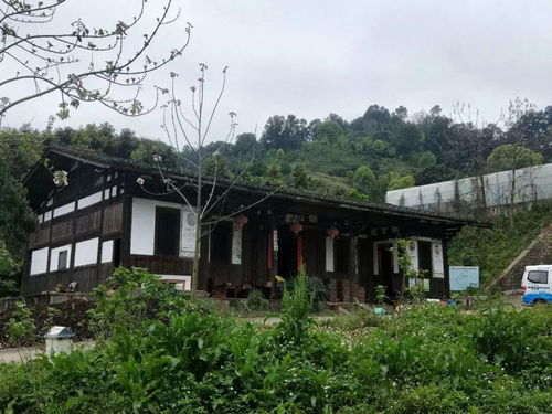 龍臺山生態(tài)園真人CS體驗(yàn) 生態(tài)與競技的完美融合