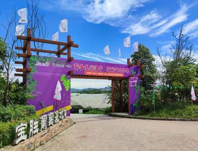 把課堂搬到泥土里，龍泉驛生態(tài)園打造校外勞動教育基地