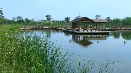 國(guó)慶樂游 上海出發(fā)，千燈古鎮(zhèn)與大唐生態(tài)園一日探幽之旅